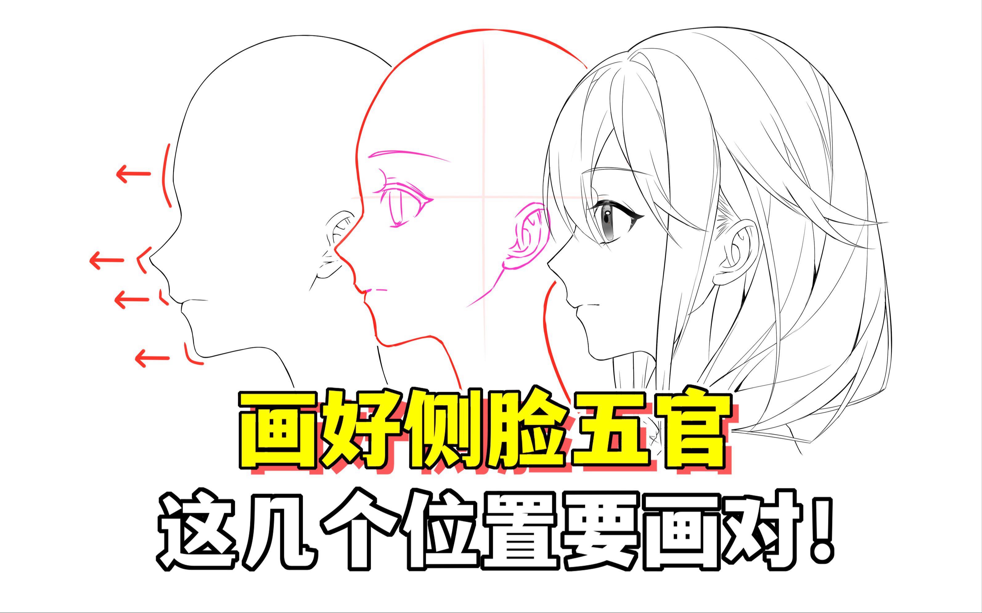 板绘教程下载-(板绘零基础教程下载)
