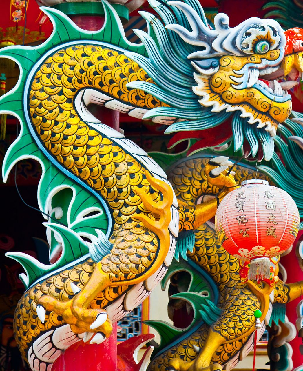 龙年彩绘视频下载(龙年彩绘视频下载免费)