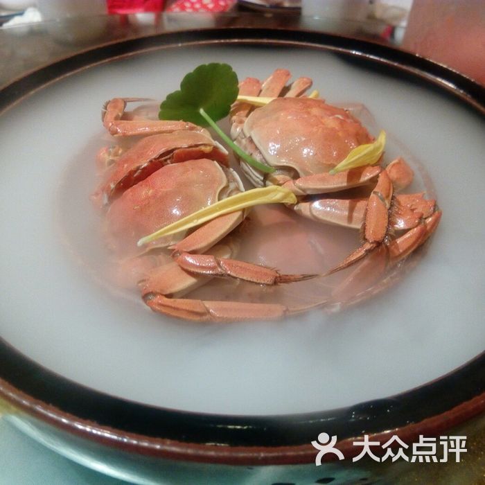 寻宝吃货视频下载-(寻宝吃货视频下载大全)